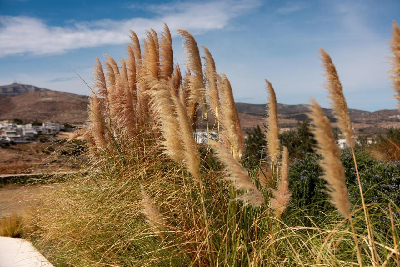 Ventu Paros Villa Márpissa Zewnętrze zdjęcie